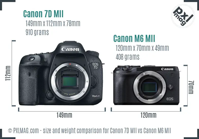 Canon 7D MII vs Canon M6 MII size comparison