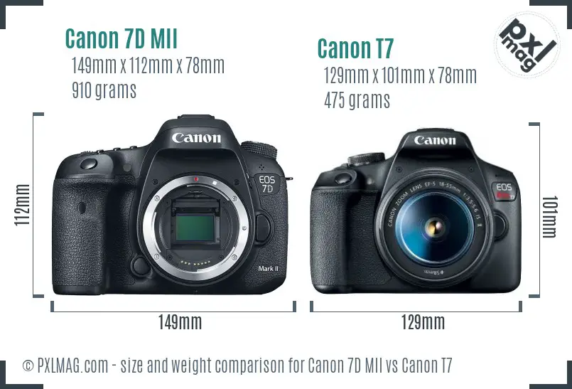 Canon 7D MII vs Canon T7 size comparison Canon 7D MII vs Canon T7 size comparison