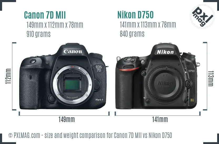 Canon 7D MII vs Nikon D750 size comparison