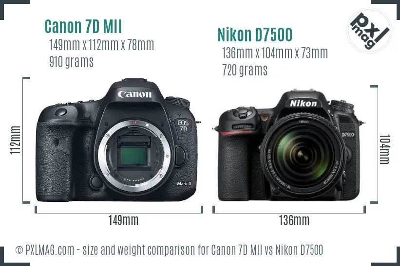 Canon 7D MII vs Nikon D7500 size comparison