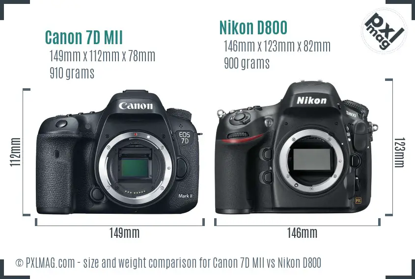Canon 7D MII vs Nikon D800 size comparison