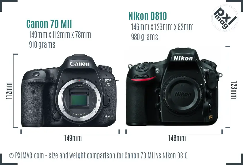 Canon 7D MII vs Nikon D810 size comparison