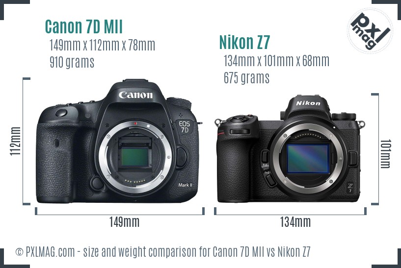 Canon 7D MII vs Nikon Z7 size comparison