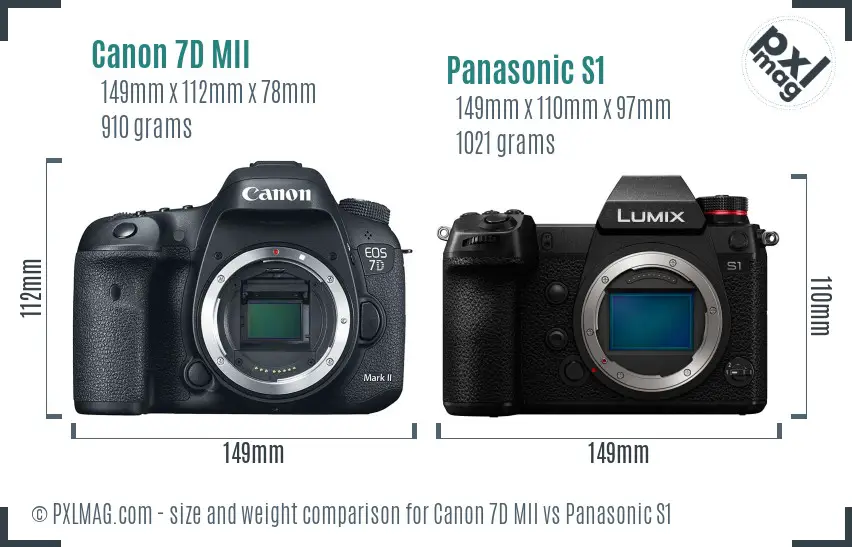 Canon 7D MII vs Panasonic S1 size comparison