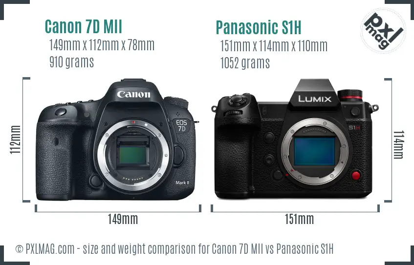 Canon 7D MII vs Panasonic S1H size comparison Canon 7D MII vs Panasonic S1H size comparison