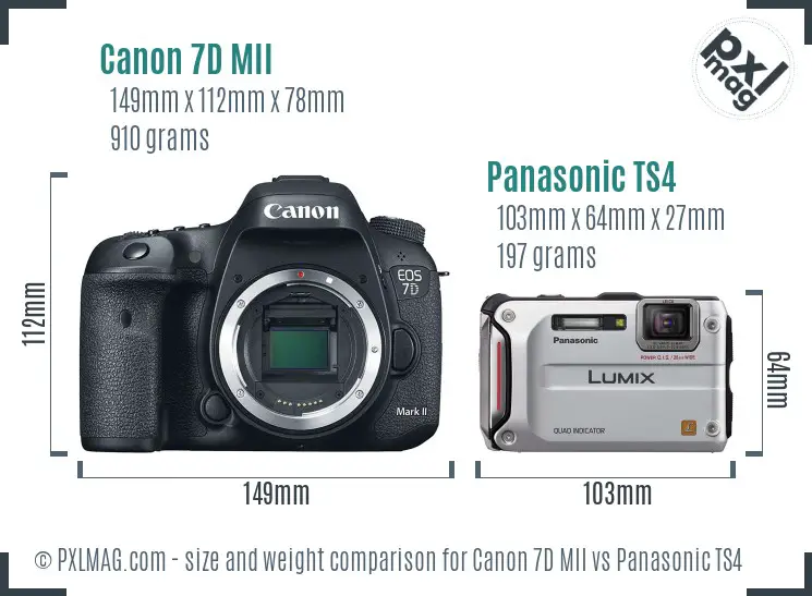 Canon 7D MII vs Panasonic TS4 size comparison