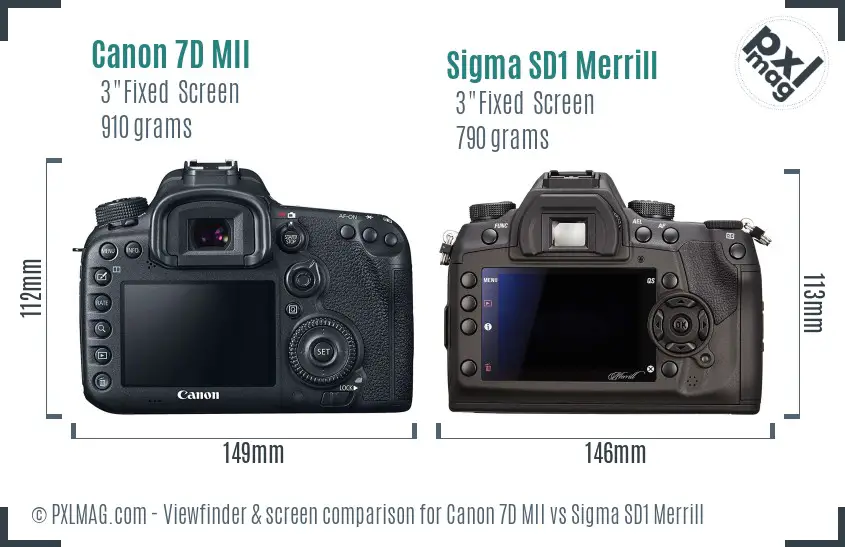Canon 7D MII vs Sigma SD1 Merrill Screen and Viewfinder comparison