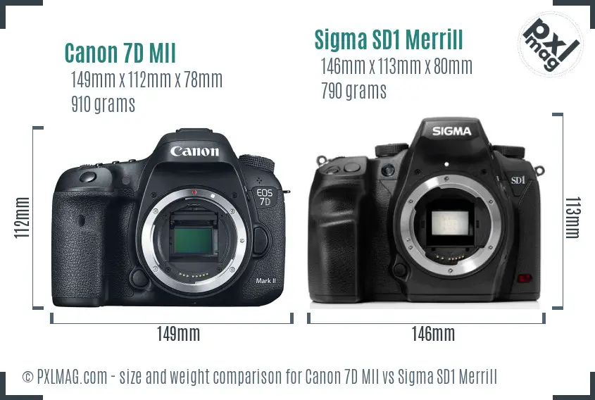 Canon 7D MII vs Sigma SD1 Merrill size comparison