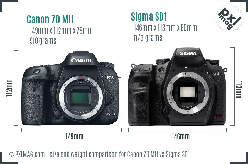 Canon 7D MII vs Sigma SD1 size comparison