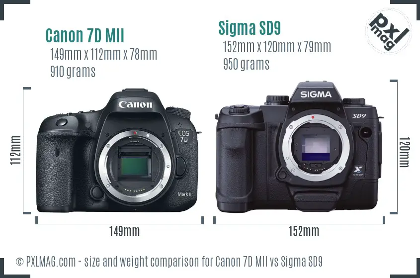 Canon 7D MII vs Sigma SD9 size comparison