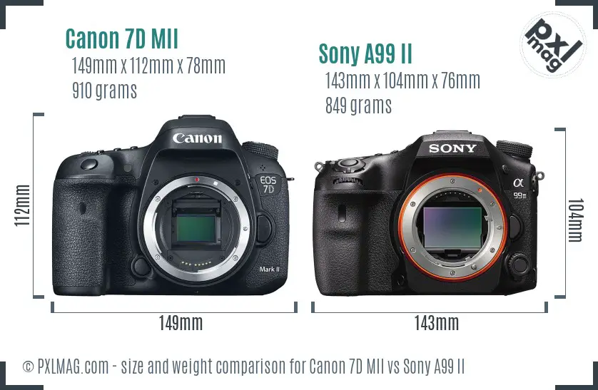 Canon 7D MII vs Sony A99 II size comparison