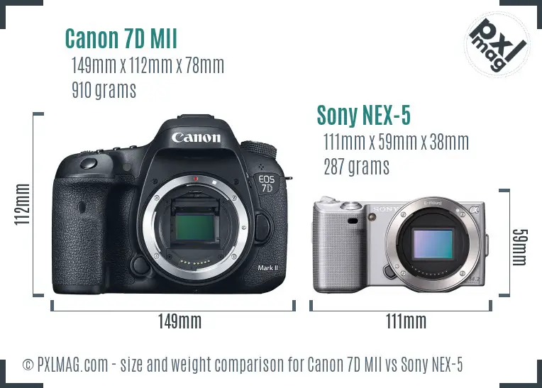 Canon 7D MII vs Sony NEX-5 size comparison