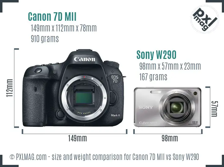 Canon 7D MII vs Sony W290 size comparison