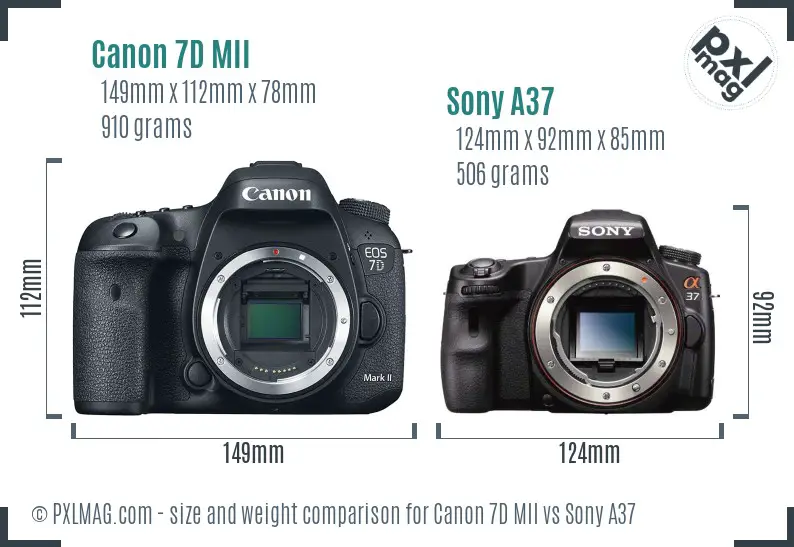 Canon 7D MII vs Sony A37 size comparison