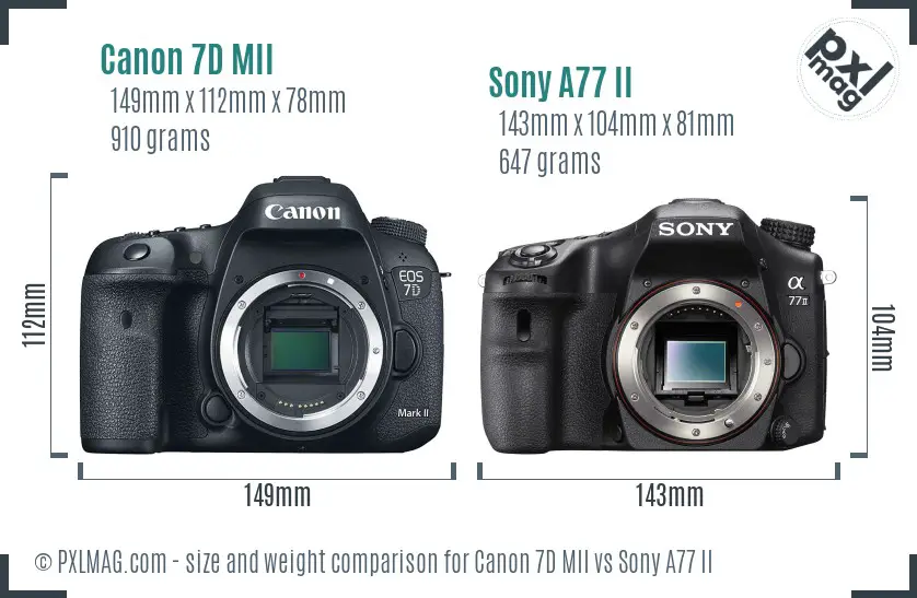 Canon 7D MII vs Sony A77 II size comparison