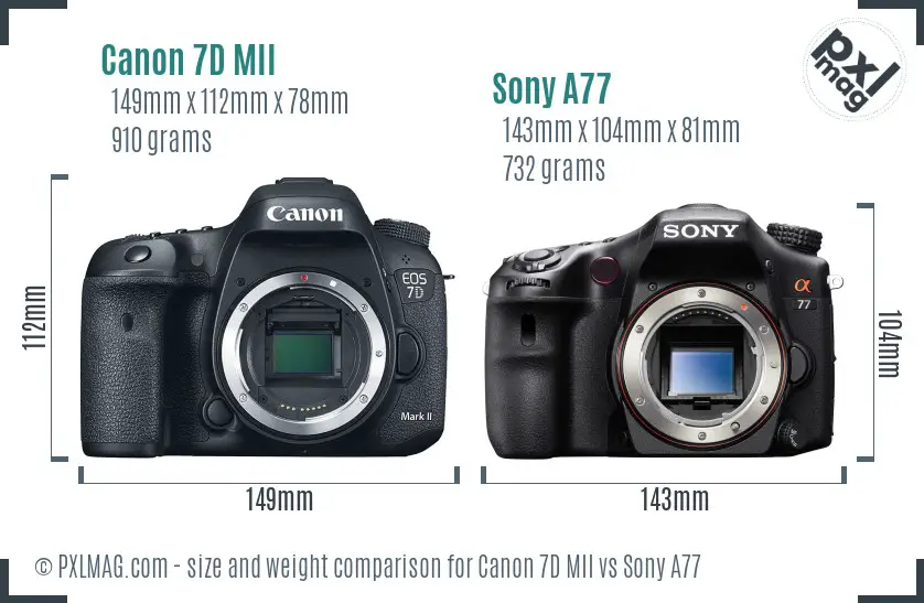 Canon 7D MII vs Sony A77 size comparison