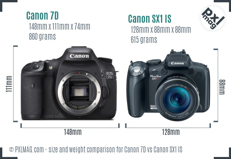 Canon 7D vs Canon SX1 IS size comparison