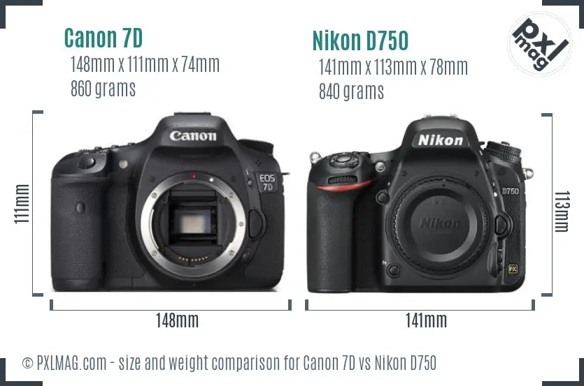 Canon 7D vs Nikon D750 size comparison