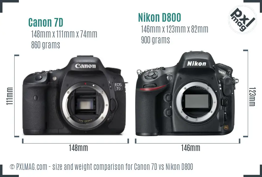 Canon 7D vs Nikon D800 size comparison