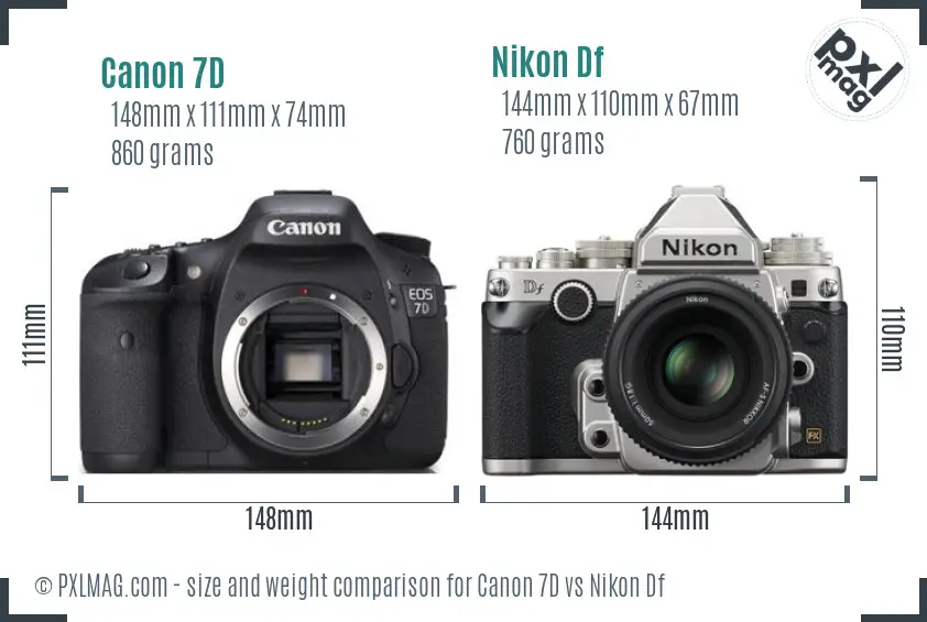 Canon 7D vs Nikon Df size comparison