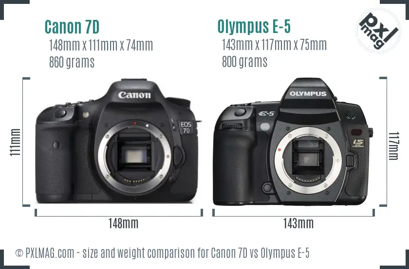 Canon 7D vs Olympus E-5 size comparison