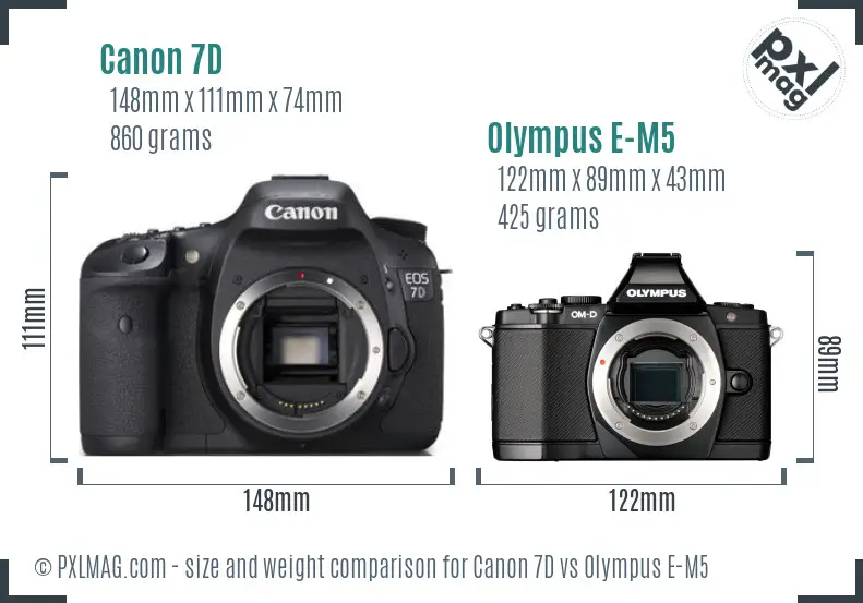 Canon 7D vs Olympus E-M5 size comparison