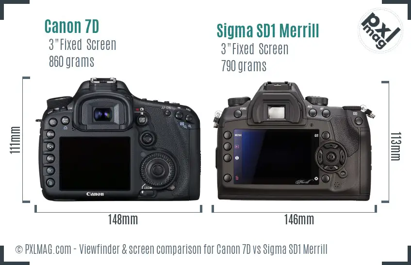 Canon 7D vs Sigma SD1 Merrill Screen and Viewfinder comparison
