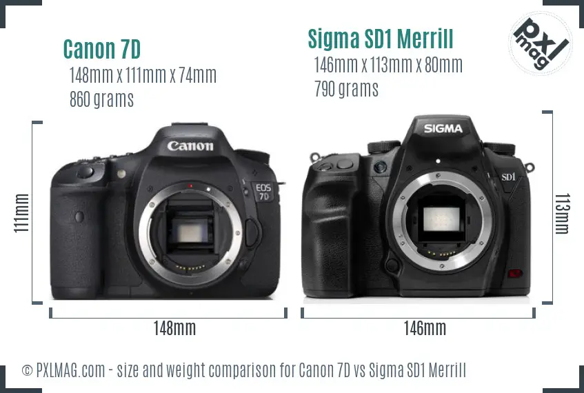 Canon 7D vs Sigma SD1 Merrill size comparison