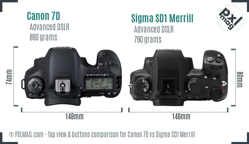 Canon 7D vs Sigma SD1 Merrill top view buttons comparison
