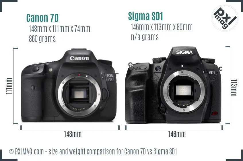 Canon 7D vs Sigma SD1 size comparison
