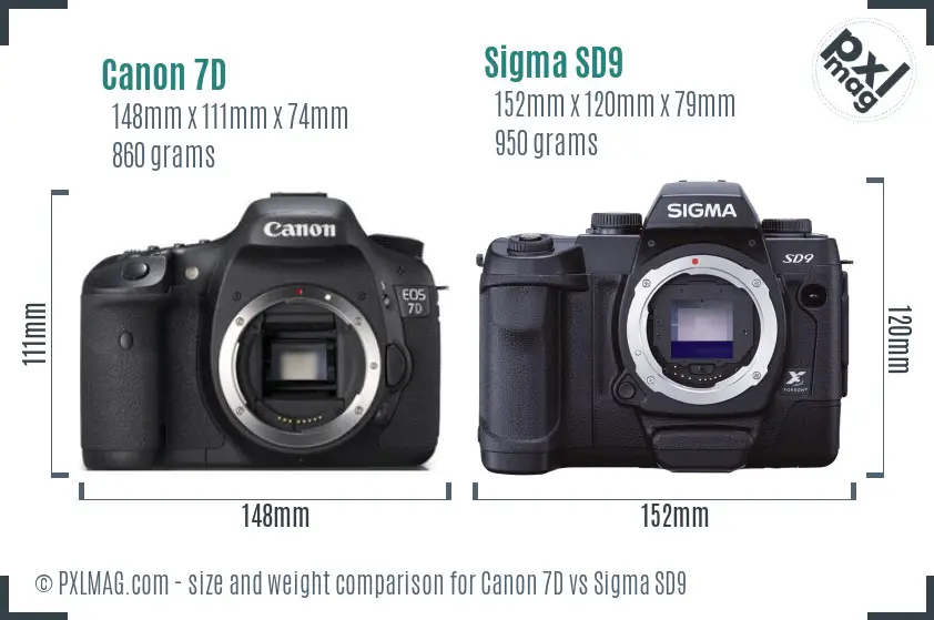 Canon 7D vs Sigma SD9 size comparison