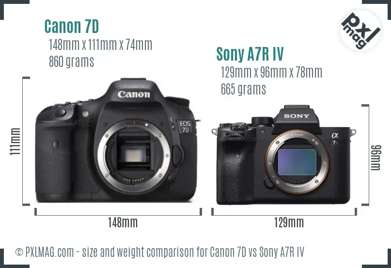 Canon 7D vs Sony A7R IV size comparison