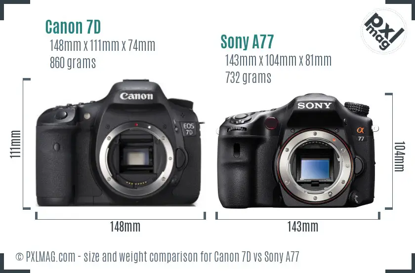 Canon 7D vs Sony A77 size comparison