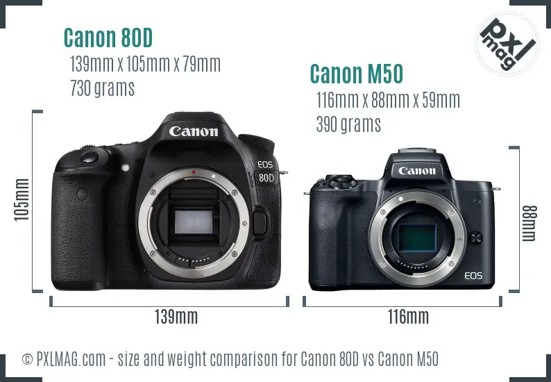 Pest Kontrakt vandring Canon 80D vs Canon M50 Detailed Comparison - PXLMAG.com