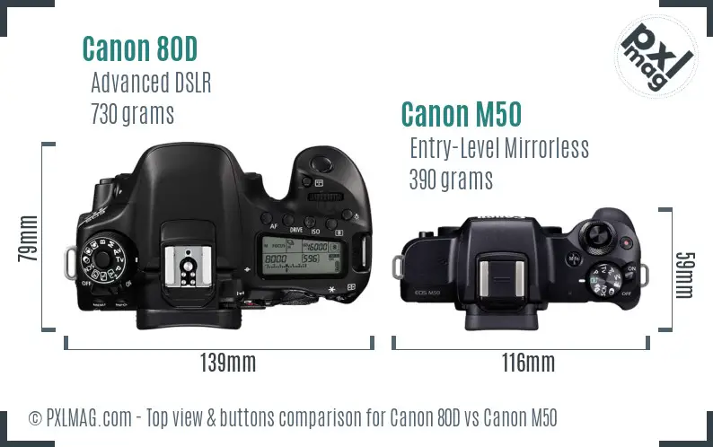 op vakantie Kolibrie echo Canon 80D vs Canon M50 Detailed Comparison - PXLMAG.com