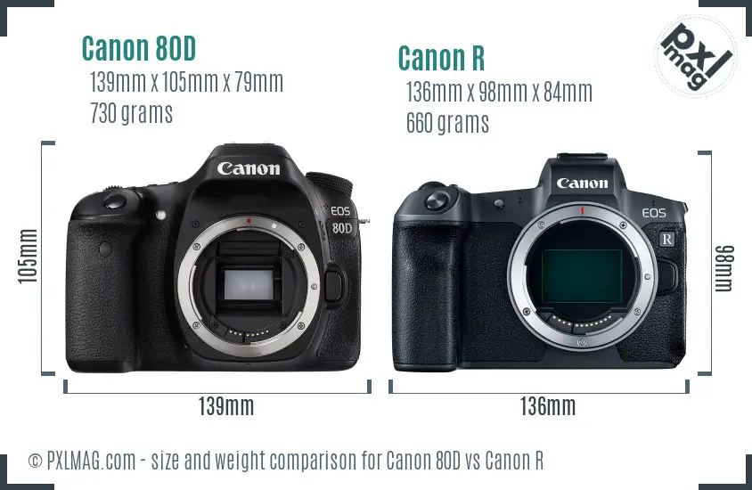 Canon 80D vs Canon R size comparison Canon 80D vs Canon R size comparison