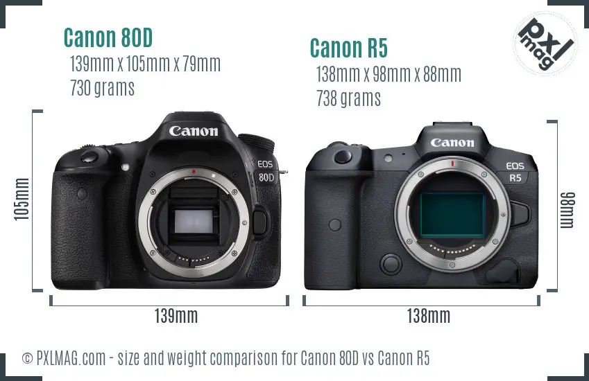Canon 80D vs Canon R5 size comparison Canon 80D vs Canon R5 size comparison