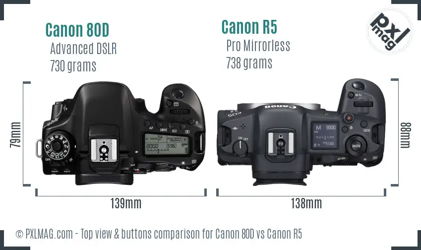 Canon 80D vs Canon R5 top view buttons comparison