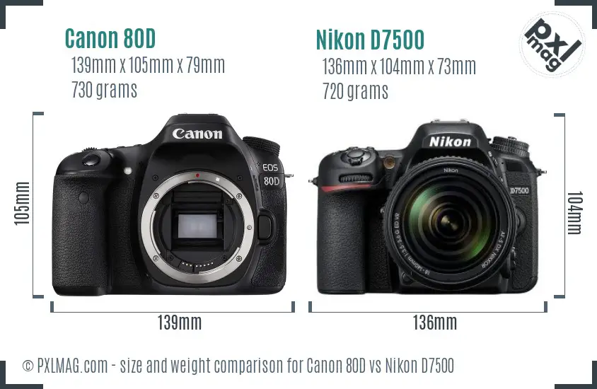 Canon 80D vs Nikon D7500 size comparison