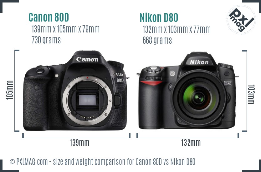 nikon d80 canon equivalent