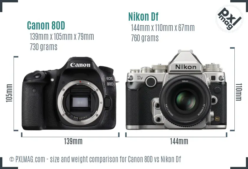 Canon 80D vs Nikon Df size comparison