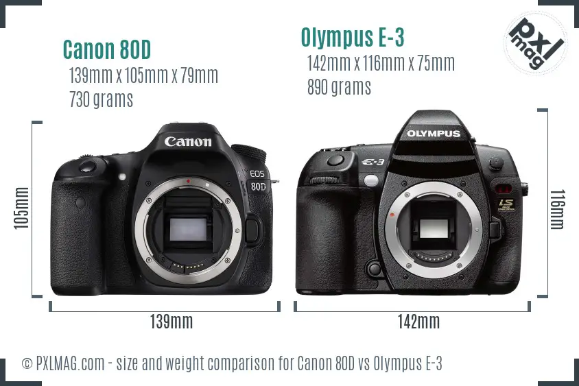 Canon 80D vs Olympus E-3 size comparison