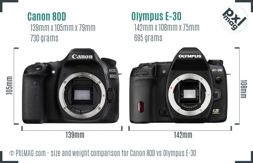 Canon 80D vs Olympus E-30 size comparison