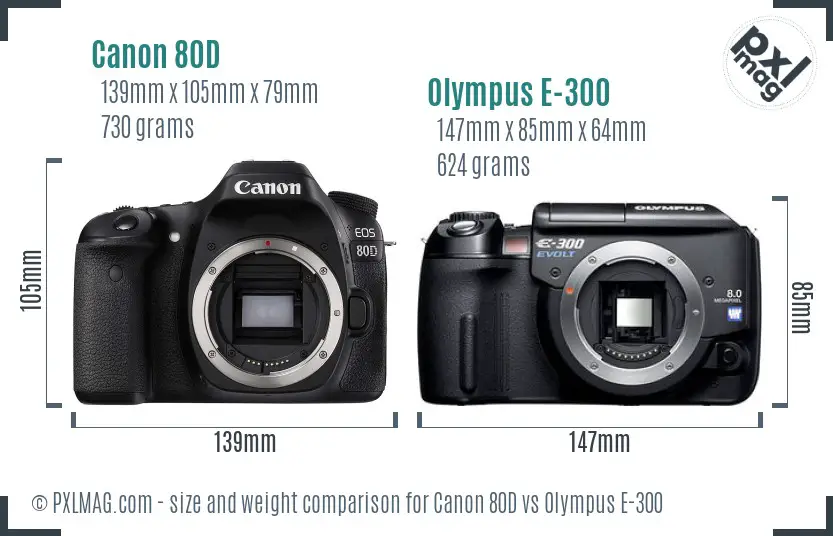 Canon 80D vs Olympus E-300 size comparison