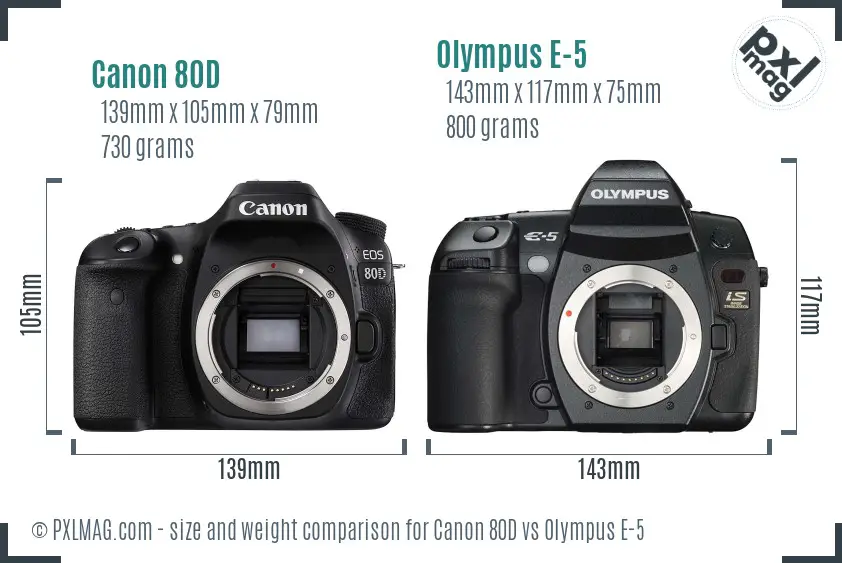 Canon 80D vs Olympus E-5 size comparison