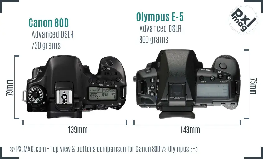 Canon 80D vs Olympus E-5 top view buttons comparison