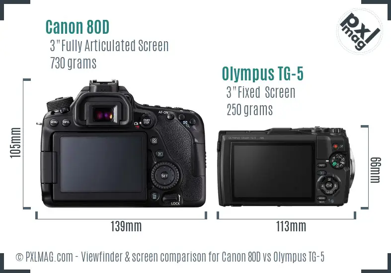 Canon 80D vs Olympus TG-5 Screen and Viewfinder comparison