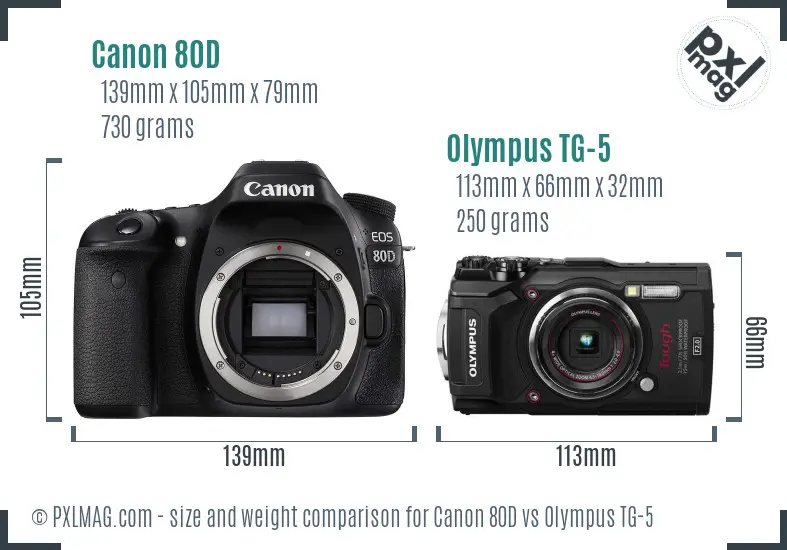 Canon 80D vs Olympus TG-5 size comparison