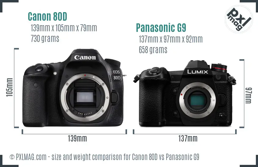 Canon 80D vs Panasonic G9 size comparison