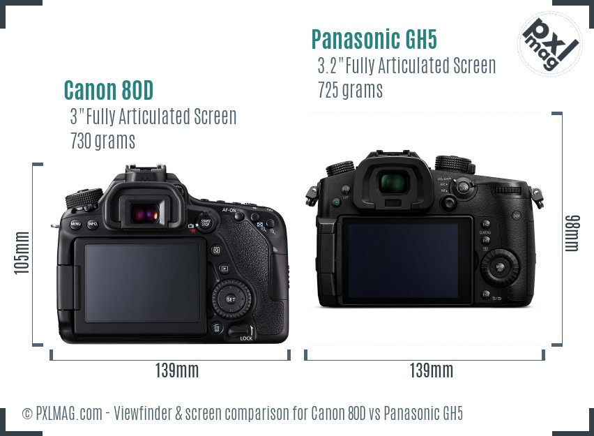 Canon 80D vs Panasonic GH5 Screen and Viewfinder comparison